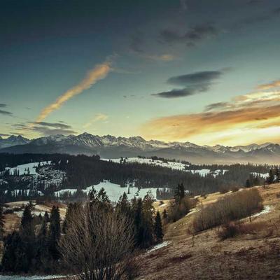 Максимилиан Мюллер