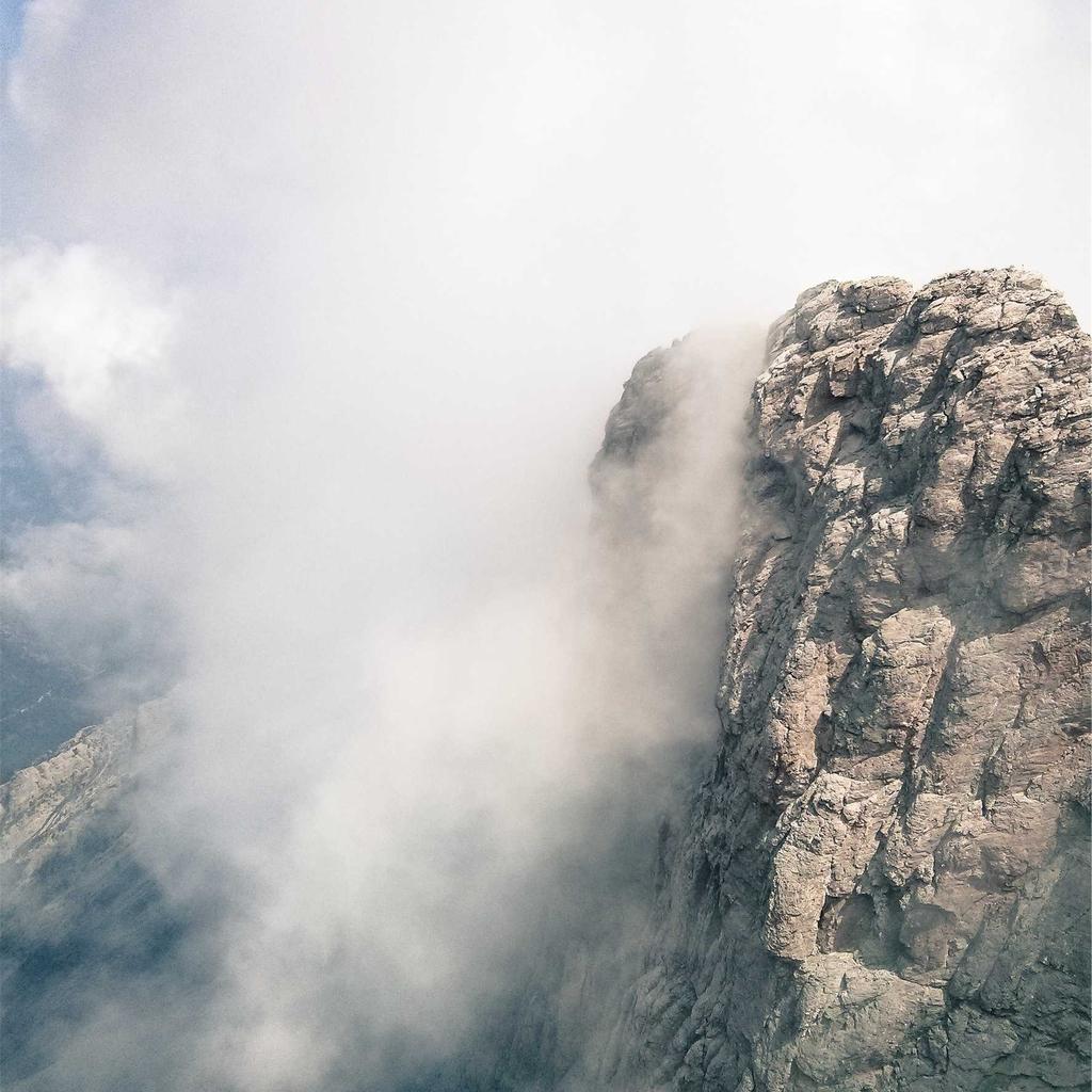 Танки для брожения