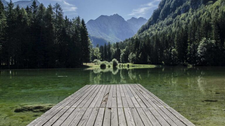 Как выбрать идеальное пиво для каждого случая: Гид по сортам